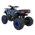 Quad Spalinowy 120CC DISCOVERER Niebieski PSP.ATV009.8.NIE